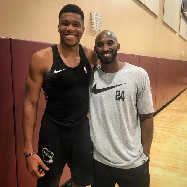 案例对照显 案例对照显