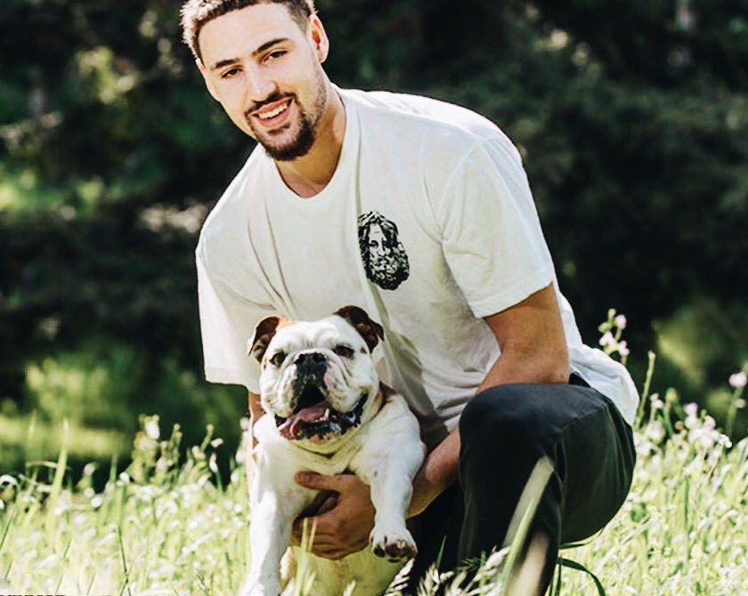 与有侵略性 与有侵略性