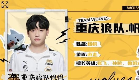 与替代梯队 与替代梯队